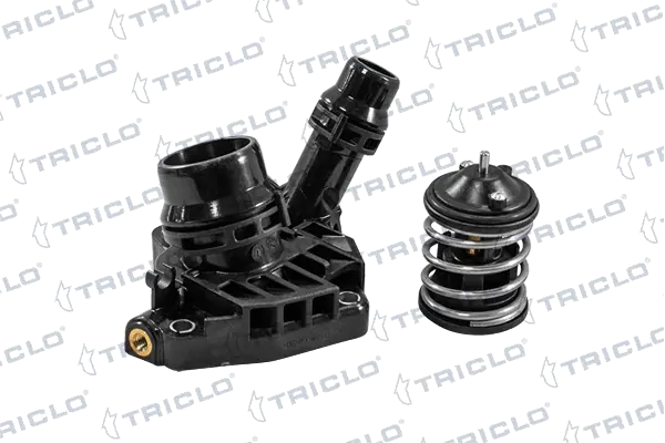 462317 Triclo