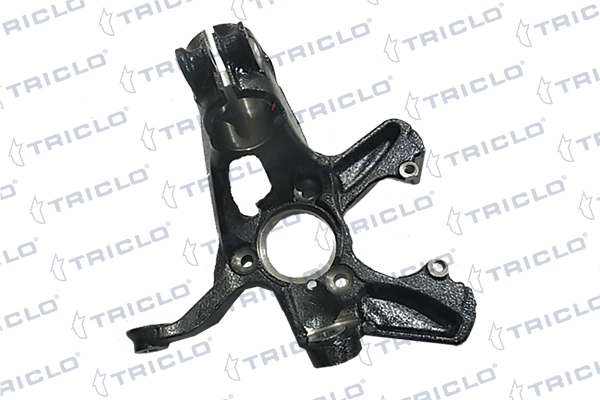762229 Triclo