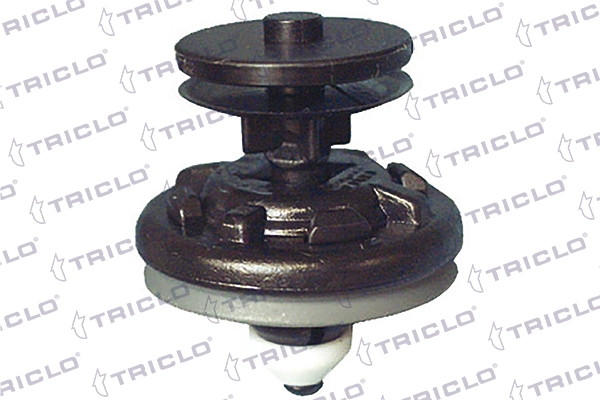 163541 Triclo
