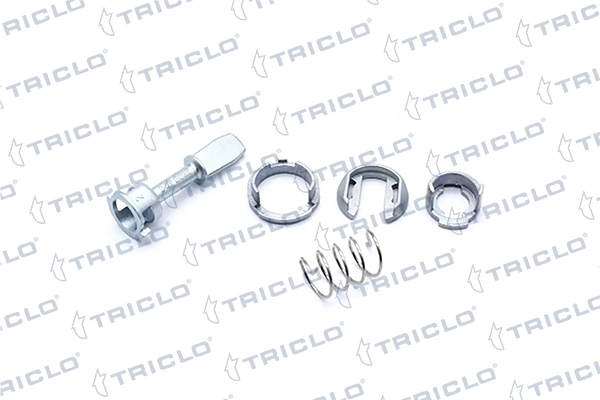 181595 Triclo Cilindro de cerradura de puerta delantera izquierda