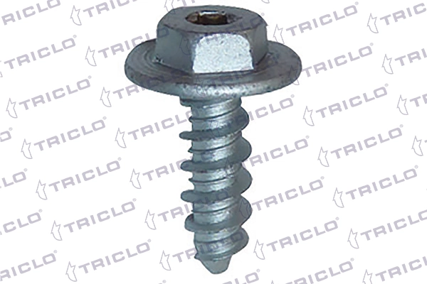 161769 Triclo