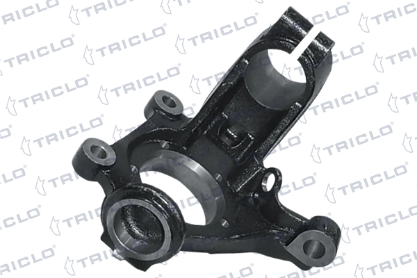 768906 Triclo