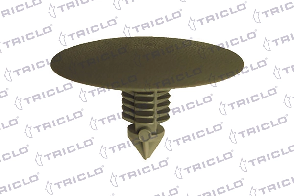 163489 Triclo