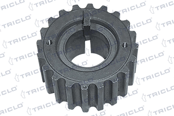 425695 Triclo