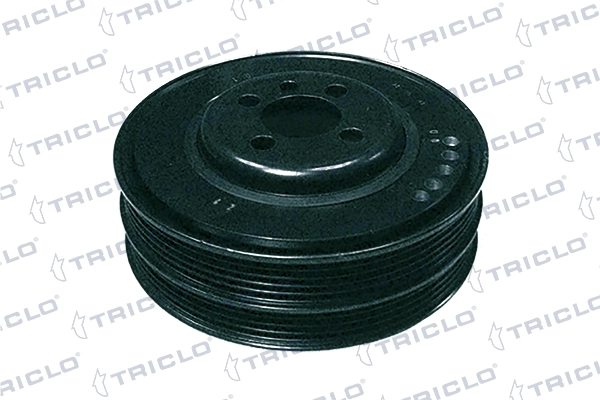 423794 Triclo