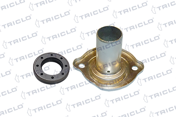 624819 Triclo