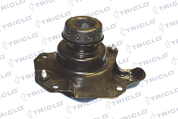 363949 Triclo