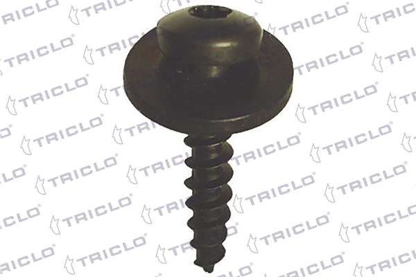 161750 Triclo