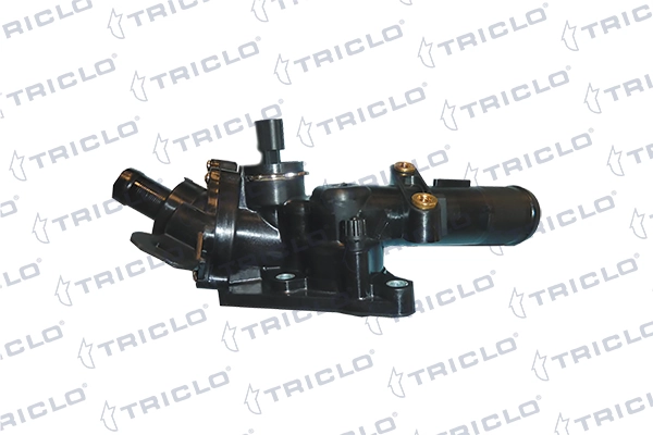 465060 Triclo