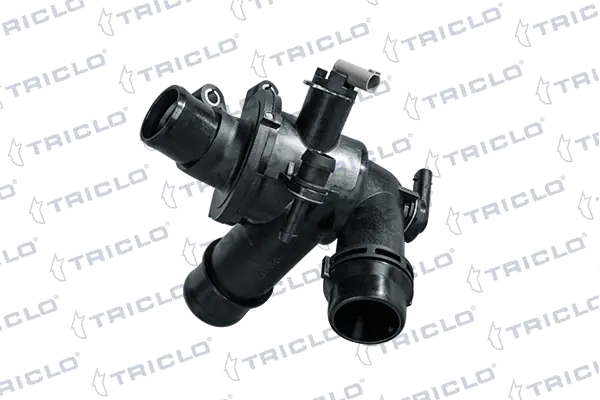 463292 Triclo