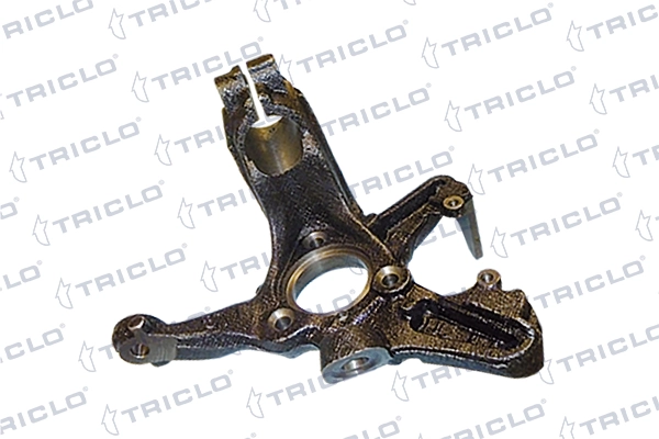 762213 Triclo