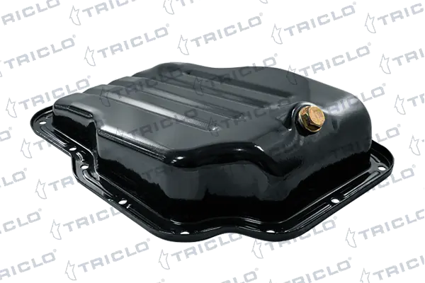 407497 Triclo