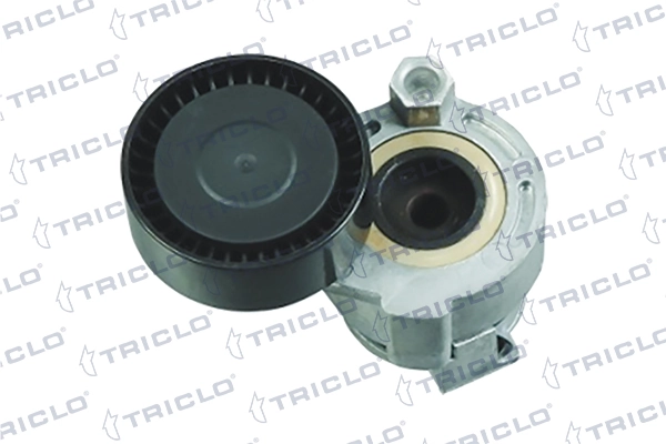 425679 Triclo