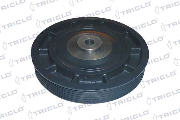 425146 Triclo