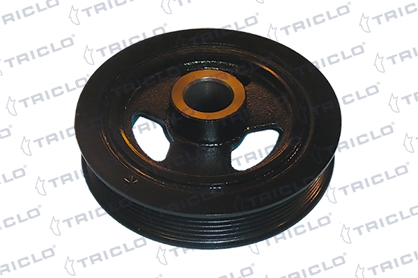 428963 Triclo