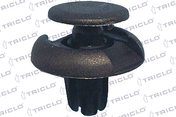 163171 Triclo