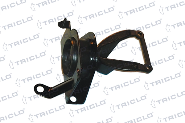 364614 Triclo