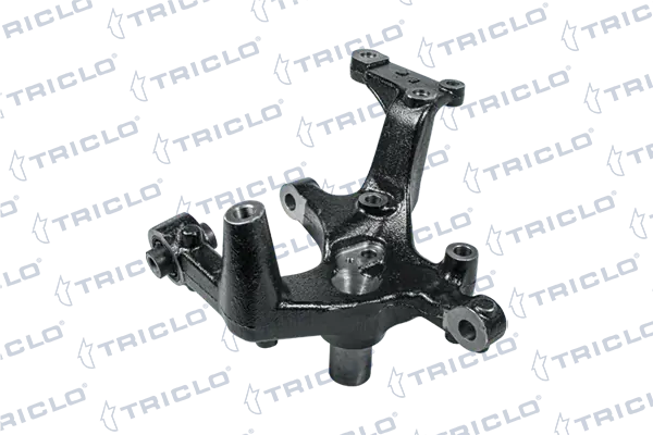 762244 Triclo