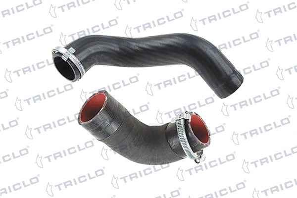 528985 Triclo