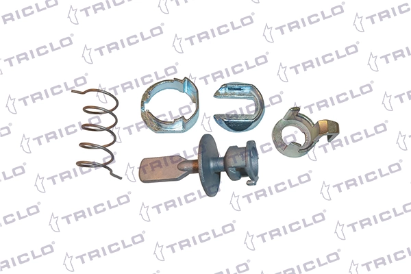 181591 Triclo 