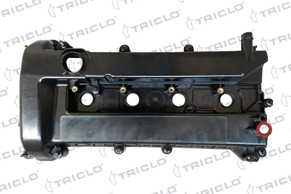 397128 Triclo