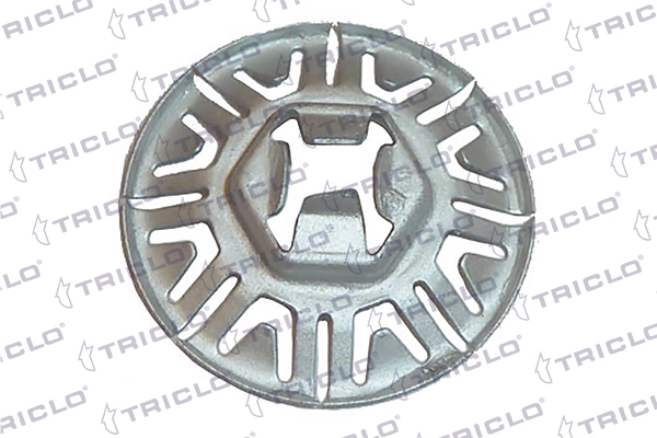 161782 Triclo
