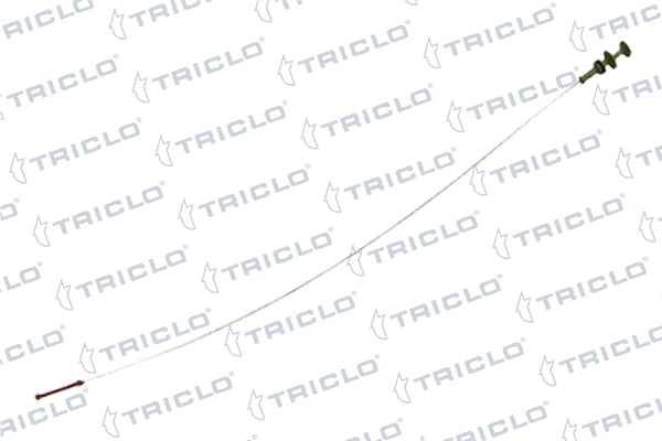 412930 Triclo