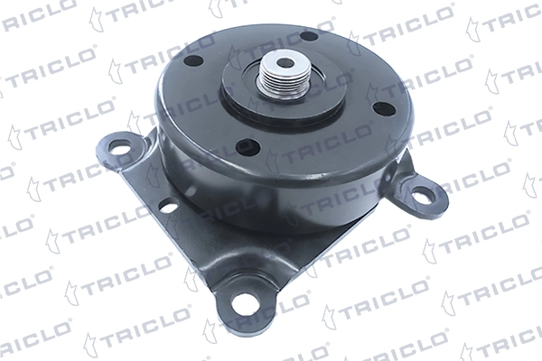 427075 Triclo