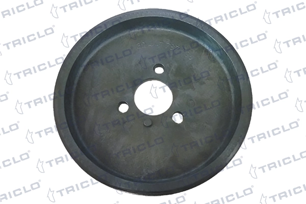 422369 Triclo Polea de bomba de la dirección asistida