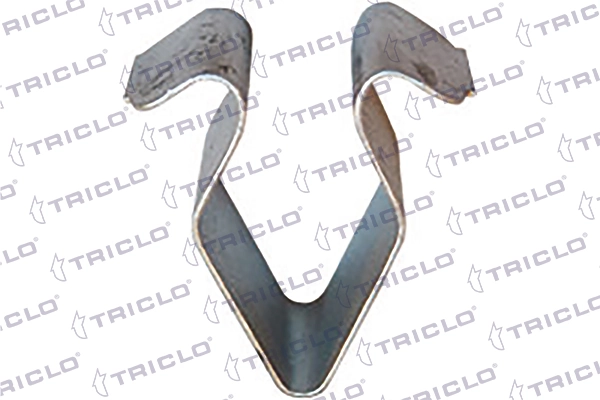 161830 Triclo