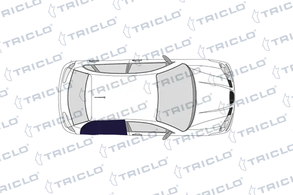 115568 Triclo