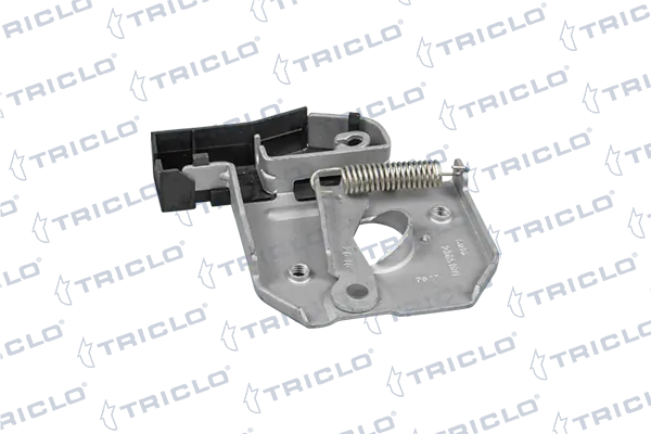  Cerradura de capó Renault Scenic 2