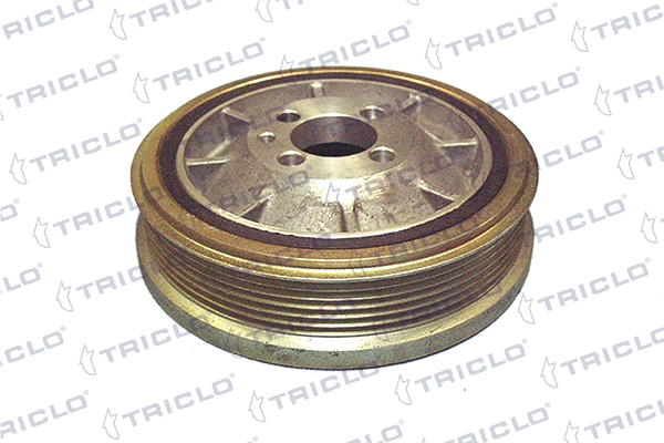 424042 Triclo