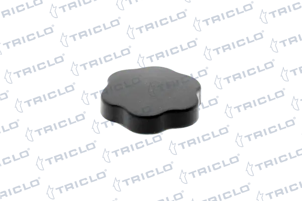 Tapon de aceite  Nissan/Infiniti 7700869464 precio, desde 4,53 EUR
