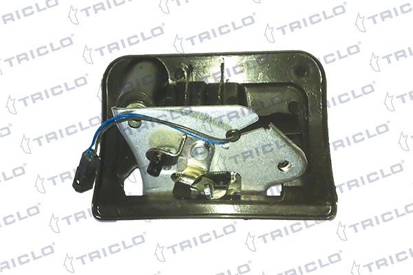 134938 Triclo