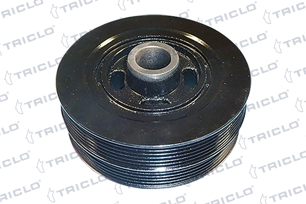 428877 Triclo