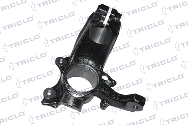 762218 Triclo