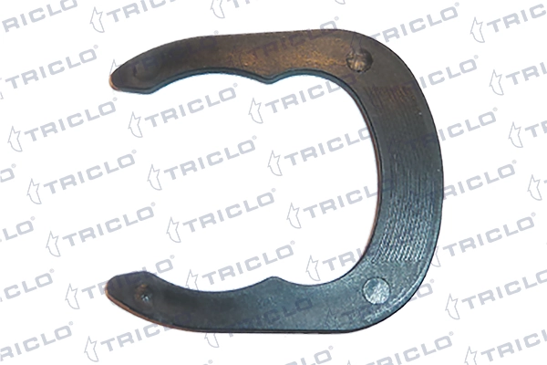 463090 Triclo