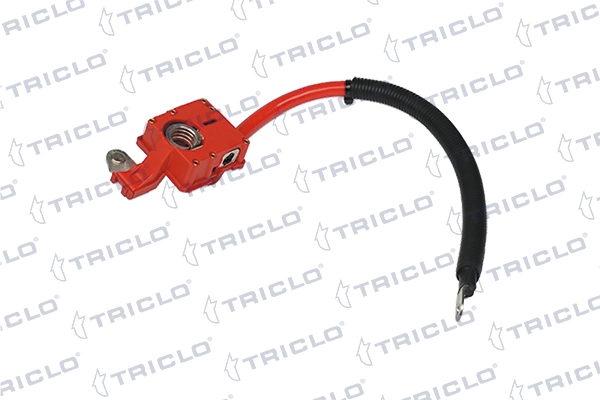 972485 Triclo