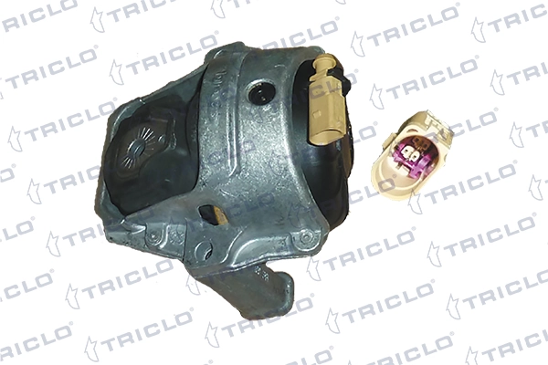 362463 Triclo