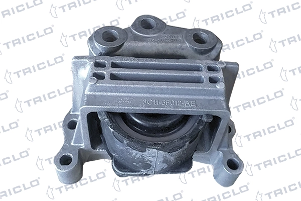 368310 Triclo