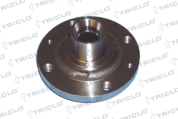 Cubo delantero Citroen C5  (2001-2004)