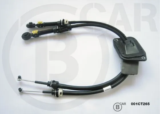 001CT265 B CAR