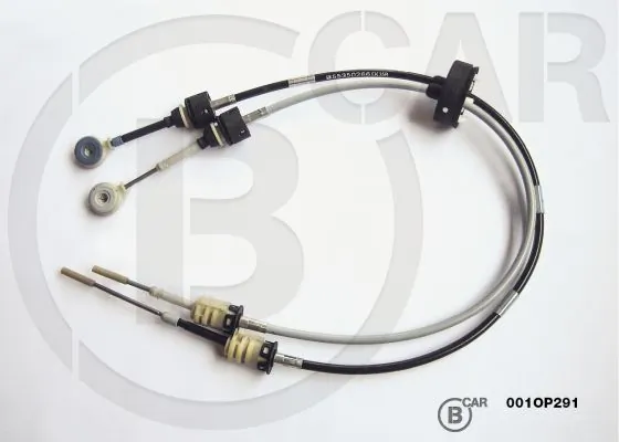 001OP291 B CAR