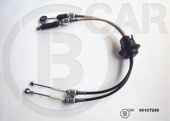 001CT295 B CAR