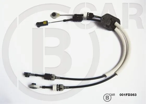 001FD363 B CAR