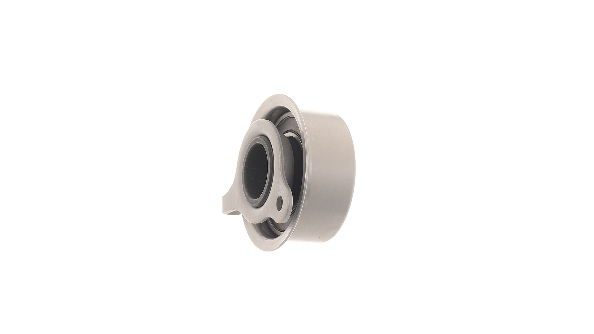 Tensor de la correa de distribución SKF VKM75621 precio, desde 14,07 EUR