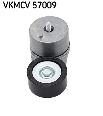 VKMCV57009 SKF