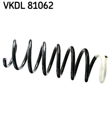 VKDL81062 SKF
