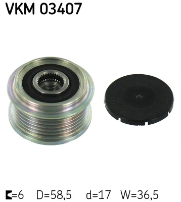 Polea alternador para Citroen Jumper 250